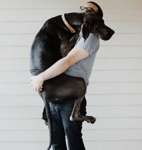 abrazo mascota